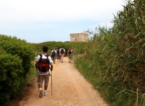 Escursione a Torre Guaceto