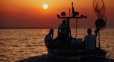 Due nuovi avvisi di gara de Il Mare che Vorrei: Transfer e Colazioni al sacco