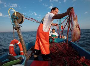 I Pescatori di Torre Guaceto