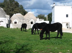 Masseria Ferri