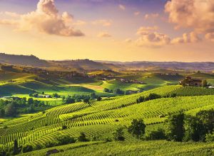 Langhe piemontesi