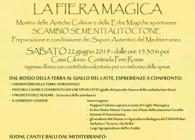 Locandina Fiera Magica