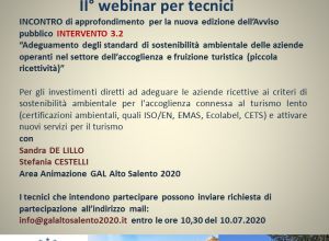 II° Webinar per tecnici