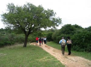 I cammini dell'Alto Salento