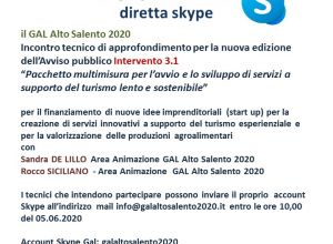 Diretta Skype - Incontro tecnico Intervento 3.1 
