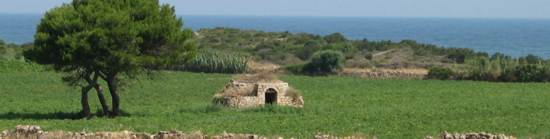 torre san leonardo