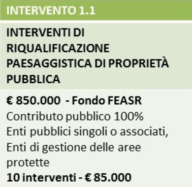 Intervento 1.1 Intervento 1.1