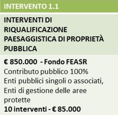 Intervento 1.1 Intervento 1.1