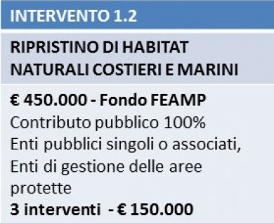 Intervento 1.2 Intervento 1.2