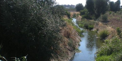 Canale Reale Canale Reale