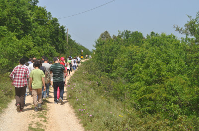 Riapertura dei termini per la presentazione delle Domande di Sostegno degli A...