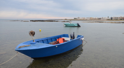 Proroga termini al 31 maggio 2021 per l’intervento 3.4 “Rete virt...