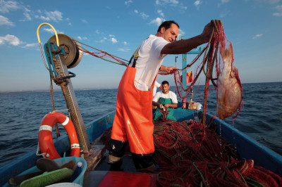 I Pescatori di Torre Guaceto I Pescatori di Torre Guaceto