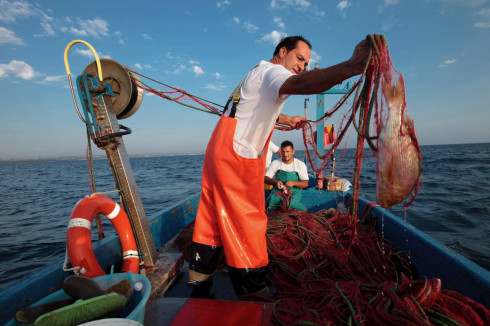 I Pescatori di Torre Guaceto I Pescatori di Torre Guaceto