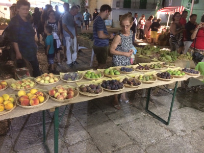 Nuova proroga dei termini per l’intervento 4.1 “Accompagnamento a...