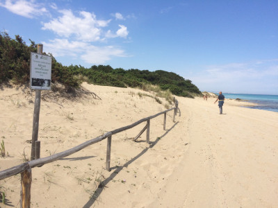 Parco Regionale delle Dune Costiere fra Torre Canne e Torre San Leonardo