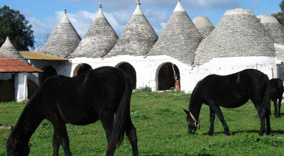 Borgo Pascarosa