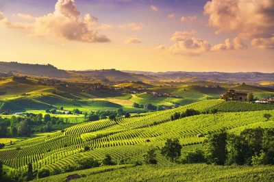 Langhe piemontesi