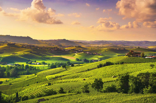 Langhe piemontesi
