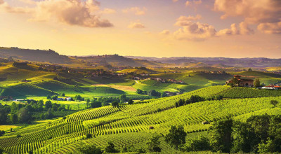 Langhe piemontesi