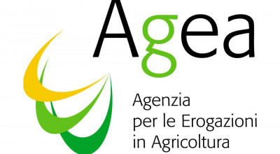 Logo Agea