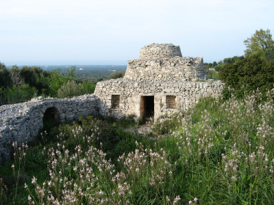 Indagine conoscitiva sui nuovi scenari socio-economici dell'Alto Salento nell...