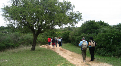 I cammini dell'Alto Salento