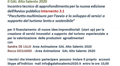 Diretta Skype - Incontro tecnico Intervento 3.1 