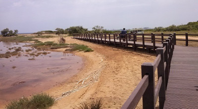 Punta del Serrone - Brindisi